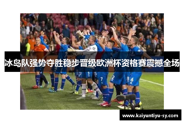 冰岛队强势夺胜稳步晋级欧洲杯资格赛震撼全场