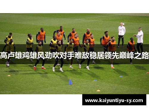 高卢雄鸡雄风劲吹对手难敌稳居领先巅峰之路