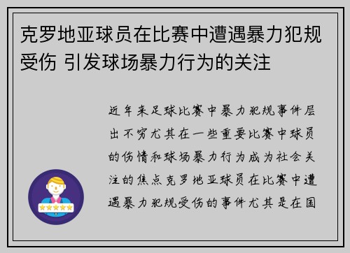 克罗地亚球员在比赛中遭遇暴力犯规受伤 引发球场暴力行为的关注