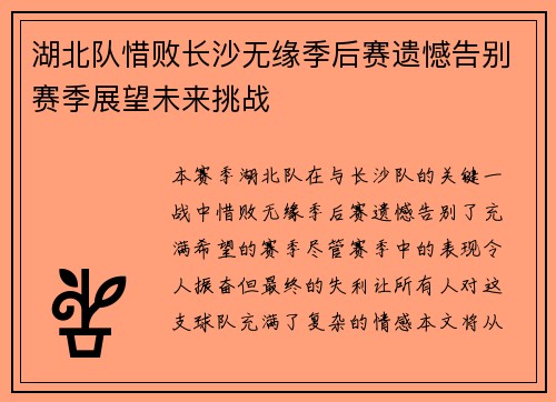 湖北队惜败长沙无缘季后赛遗憾告别赛季展望未来挑战