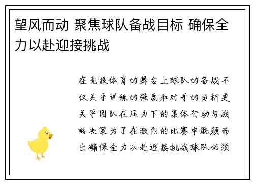 望风而动 聚焦球队备战目标 确保全力以赴迎接挑战