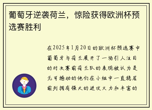 葡萄牙逆袭荷兰，惊险获得欧洲杯预选赛胜利