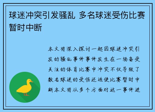球迷冲突引发骚乱 多名球迷受伤比赛暂时中断
