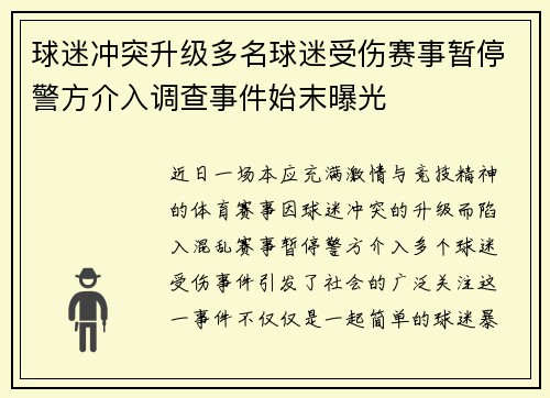 球迷冲突升级多名球迷受伤赛事暂停警方介入调查事件始末曝光